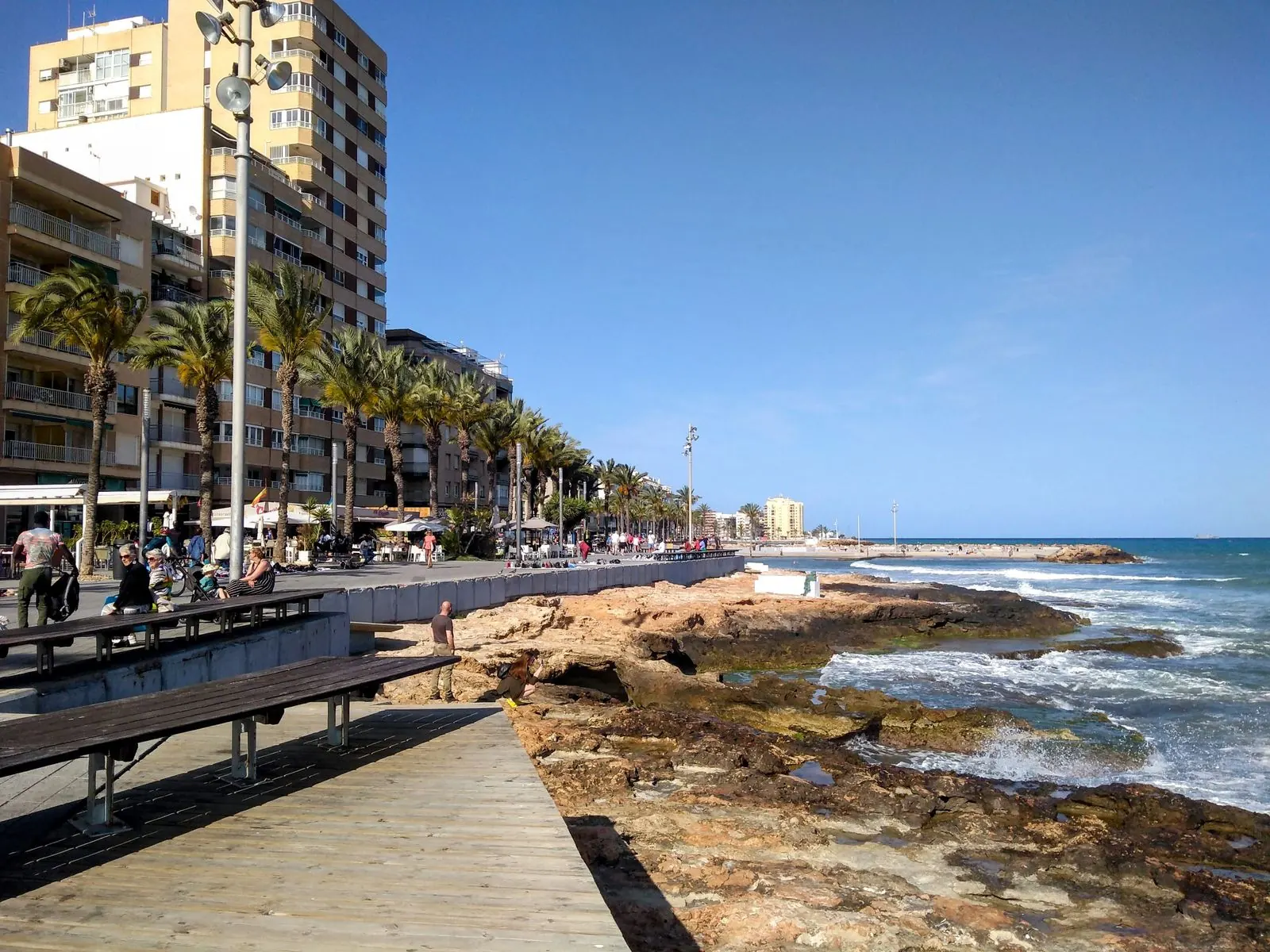 Torrevieja’s seafront promenade with palm trees, apartment blocks and a rocky shoreline on a sunny day